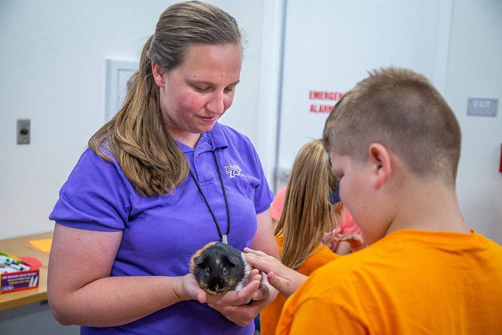 Boy petting a guinea pig held by a Zoo volunteer